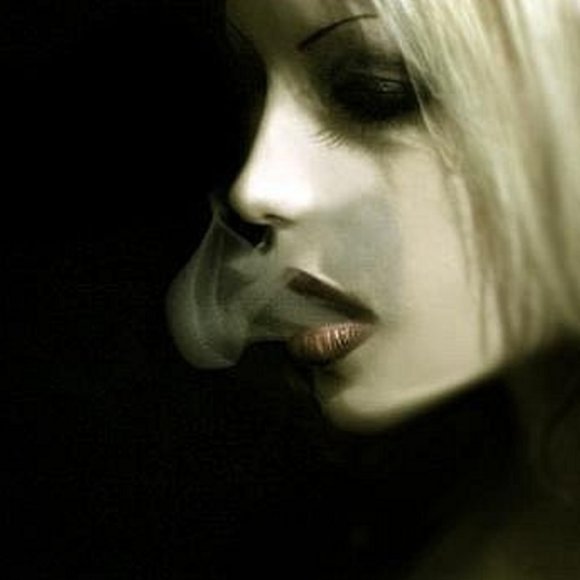 Meet your Posher, Ava - Picture 10 of 12